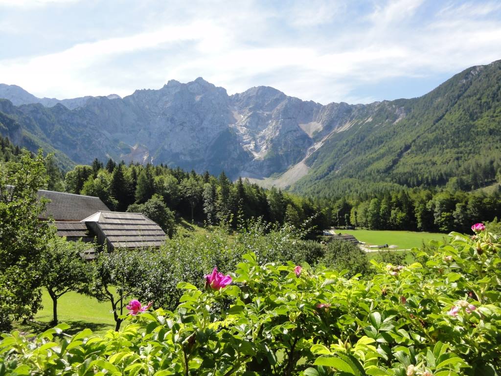 makek alpine farmstay jezersko slovenia