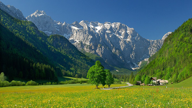 lenar kmetija logarska dolina slovenija