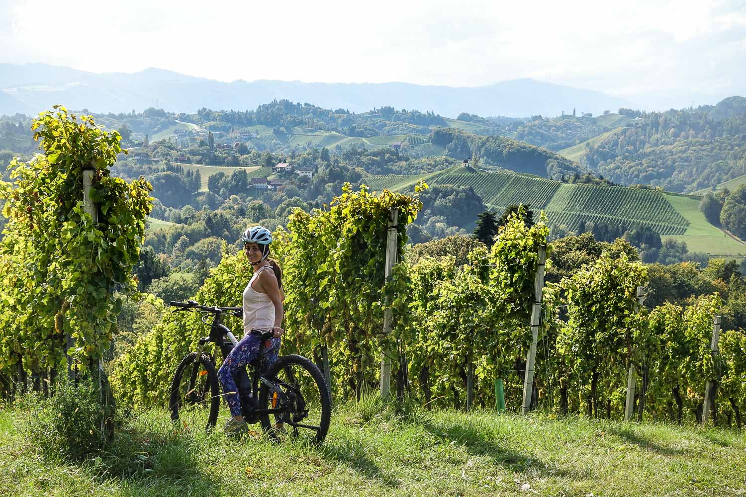 cycling the wine hills in slovenia