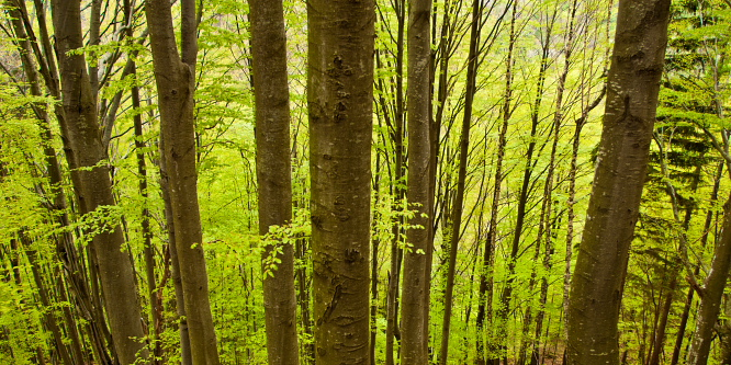 Zakojca Waterfalls - Natural Sights - Slotrips.si