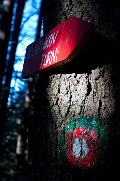 Signpost above Dolga njiva alpine meadow