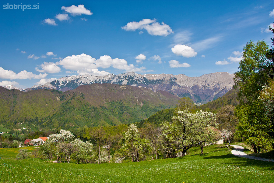 View from Zakojca village