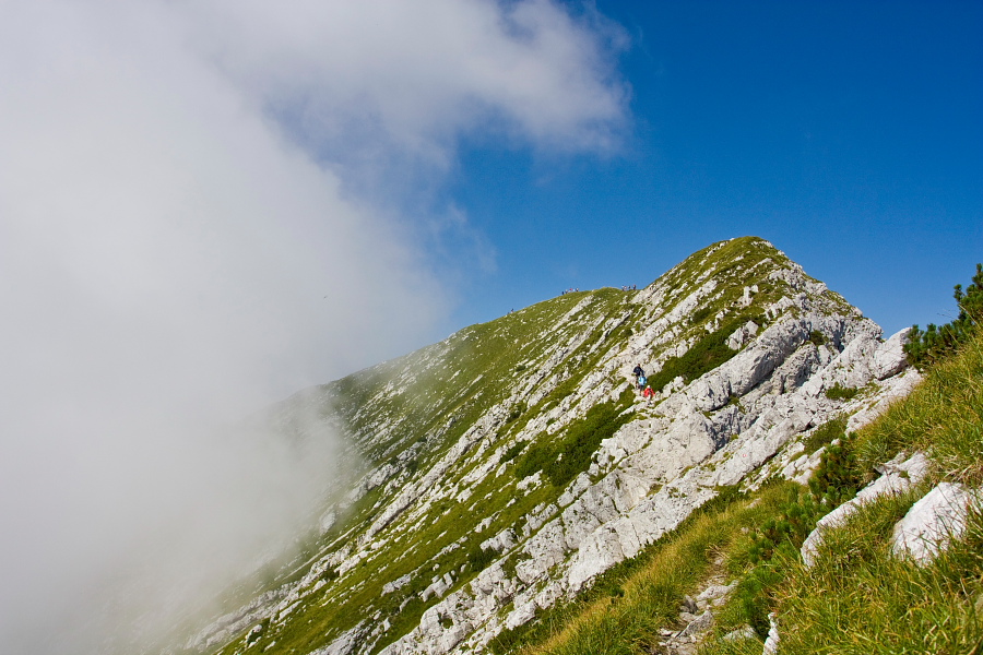 Rodica In Planina Poljana Pohodništvo In Gorništvo Slotripssi