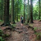 Blegoš - Ascent through the forest