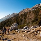 Dolga njiva alpine meadow below Košutnikov turn
