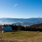 Stol - Žirovniška alpine meadow