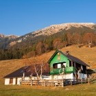 Stol - Zabreška alpine meadow