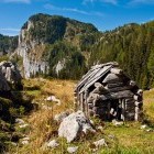 Viševnik alpine meadow below Pršivec