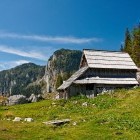 Viševnik alpine meadow below Pršivec