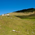 Struška - Seča alpine meadow