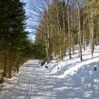 Cross-country trails on Areh