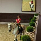 Training of classical riding school