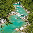 Emerald Soča river