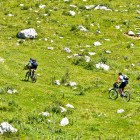 Zaprikraj alpine meadow below Mt. Krn