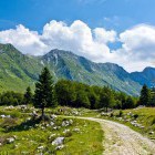 Zaprikraj alpine meadow below Mt. Krn