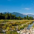 Kolesarska pot med Bohinjskim jezerom in Srednjo vasjo