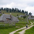 Gojška planina is less crowded