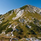 Vogel - Below the summit of Šija