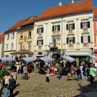 Lively city of Ptuj, Slovenia