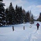Winter fairytale on Pokljuka alpine meadows
