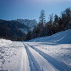 Cross-country skiing, Rateče