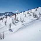 Skiing from Debeli vrh, Pokljuka