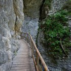 Pokljuka Gorge near Bled