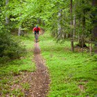 Single trail park Jamnica, Slovenia