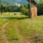 The path from Lake Bohinj towards Srednja vas