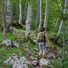 The path to Svinjak