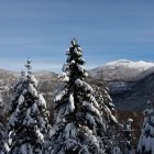 First view of Snežnik