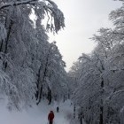 Path to Snežnik