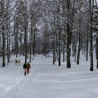 Path to Snežnik