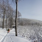 Pot na Snežnik